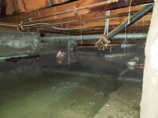 Best Commercial water damage restoration  in Oakhurst, OK