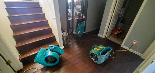 Best Ceiling water damage repair  in Oakhurst, OK