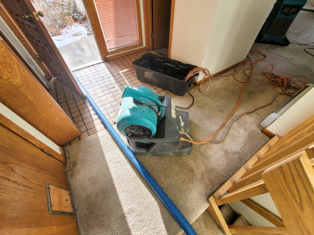 Best Local water damage restoration  in Oakhurst, OK