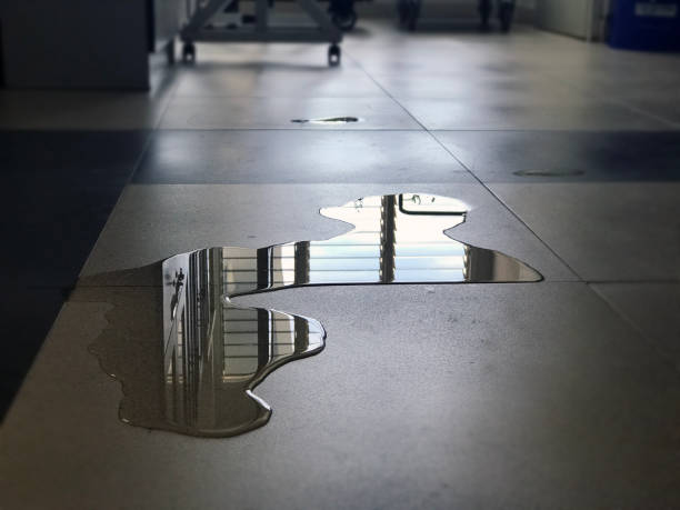 Best Professional water damage repair  in Oakhurst, OK
